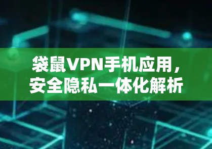 袋鼠VPN手机应用,安全隐私一体化解析 袋鼠VPN手机应用,安全隐私一体化解析