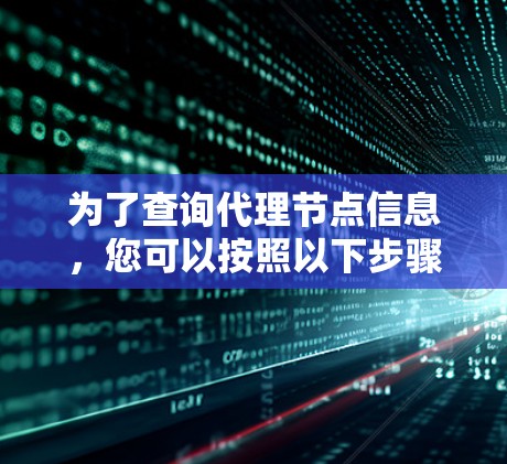 为了查询代理节点信息，您可以按照以下步骤操作