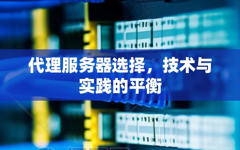代理服务器选择,技术与实践的平衡 代理服务器选择,技术与实践的平衡