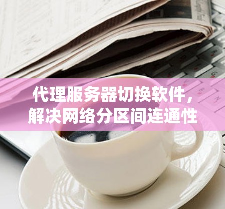 代理服务器切换软件,解决网络分区间连通性挑战的关键技术 代理服务器切换软件,解决网络分区间连通性挑战的关键技术