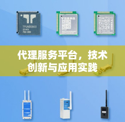 代理服务平台,技术创新与应用实践 代理服务平台,技术创新与应用实践