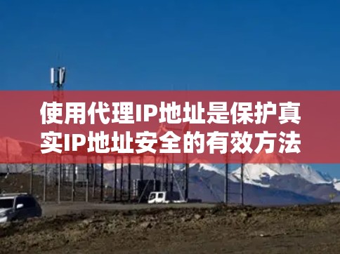 使用代理IP地址是保护真实IP地址安全的有效方法。以下是详细的步骤指南