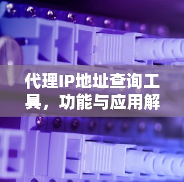 代理IP地址查询工具,功能与应用解析 代理IP地址查询工具,功能与应用解析