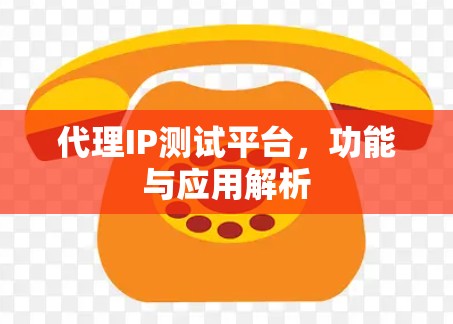 代理IP测试平台,功能与应用解析 代理IP测试平台,功能与应用解析