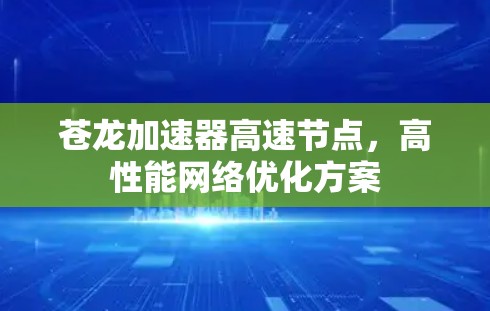 苍龙加速器高速节点,高性能网络优化方案 苍龙加速器高速节点,高性能网络优化方案