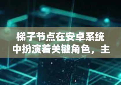 梯子节点在安卓系统中扮演着关键角色，主要用于高效处理数据传输和网络请求。以下是对梯子节点的详细分析