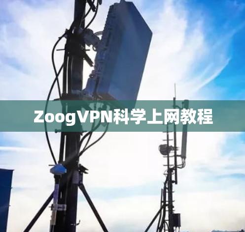 ZoogVPN科学上网教程