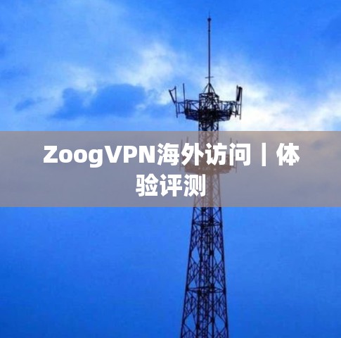 ZoogVPN海外访问|体验评测 ZoogVPN海外访问|体验评测