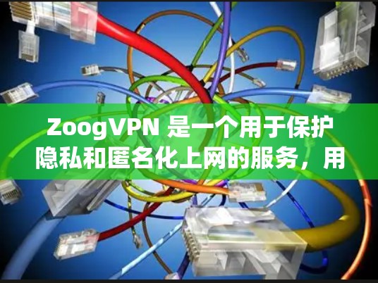 ZoogVPN 是一个用于保护隐私和匿名化上网的服务，用户可以通过其电脑应用程序进行安装和使用。以下是使用 ZoogVPN 的基本步骤