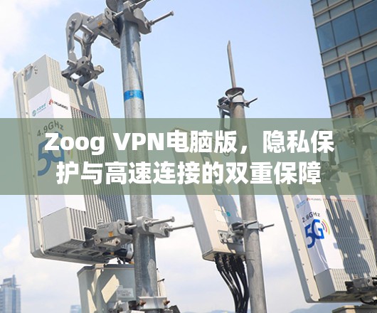 Zoog VPN电脑版，隐私保护与高速连接的双重保障