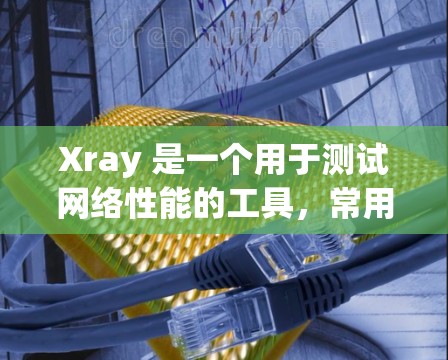 Xray 是一个用于测试网络性能的工具，常用于评估线路的速度和稳定性。以下是使用 Xray 进行速度测试和线路性能评估的步骤