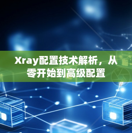 Xray配置技术解析，从零开始到高级配置