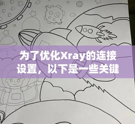 为了优化Xray的连接设置，以下是一些关键步骤和建议