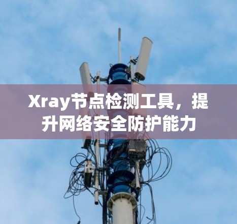 Xray节点检测工具,提升网络安全防护能力 Xray节点检测工具,提升网络安全防护能力