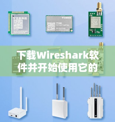 下载Wireshark软件并开始使用它的步骤如下