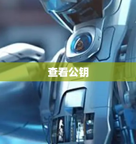 查看公钥 查看公钥