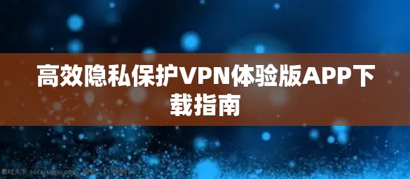 高效隐私保护VPN体验版APP下载指南