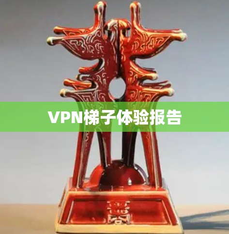 VPN梯子体验报告 VPN梯子体验报告
