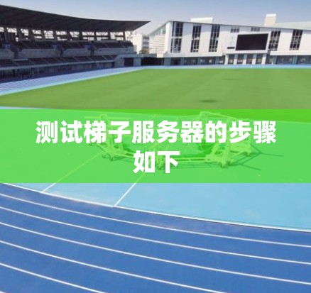 测试梯子服务器的步骤如下