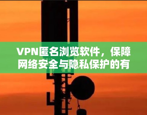 VPN匿名浏览软件，保障网络安全与隐私保护的有效手段